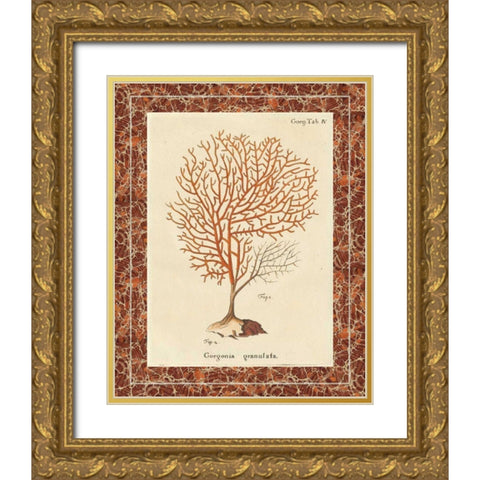 Gorgonia Granulata Marble Gold Ornate Wood Framed Art Print with Double Matting by Wild Apple Portfolio