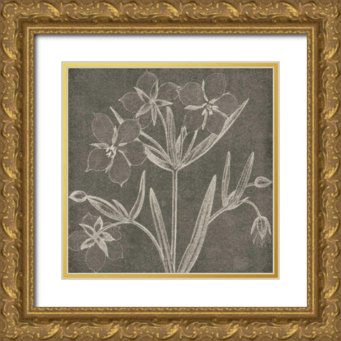 Botanical Beauty Chalk Square IV Gold Ornate Wood Framed Art Print with Double Matting by Wild Apple Portfolio