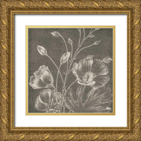 Botanical Beauty Chalk Square IX Gold Ornate Wood Framed Art Print with Double Matting by Wild Apple Portfolio
