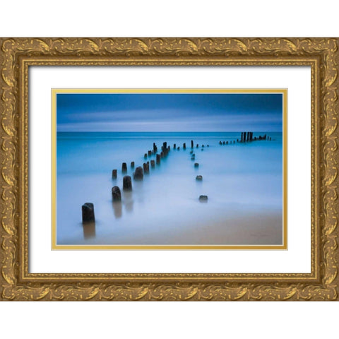 Sentinals Gold Ornate Wood Framed Art Print with Double Matting by Gendreau, Katherine