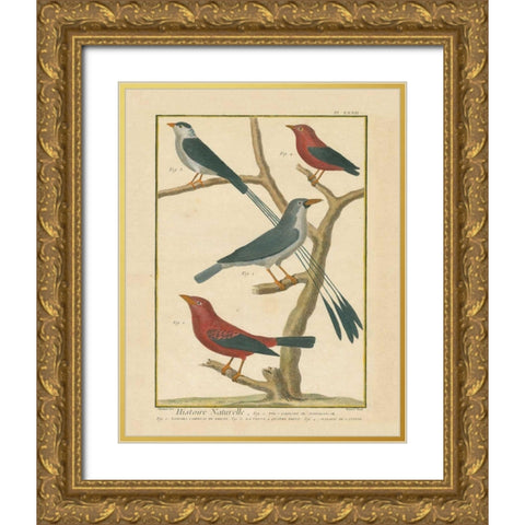 Bird Drawing III Gold Ornate Wood Framed Art Print with Double Matting by Wild Apple Portfolio