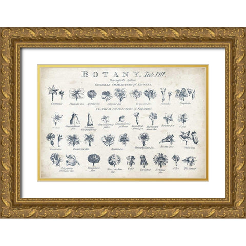 Botany Tab VIII Indigo and White Gold Ornate Wood Framed Art Print with Double Matting by Wild Apple Portfolio