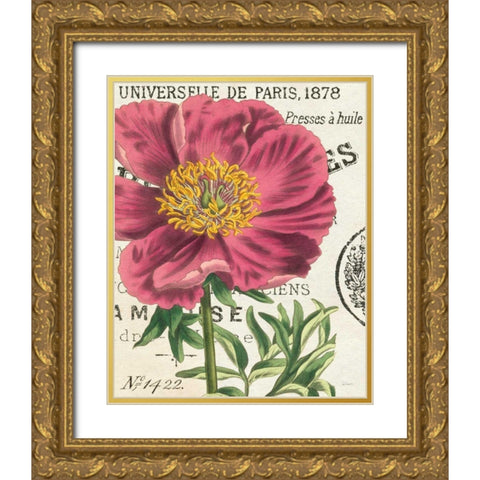 Peony Botany Gold Ornate Wood Framed Art Print with Double Matting by Schlabach, Sue
