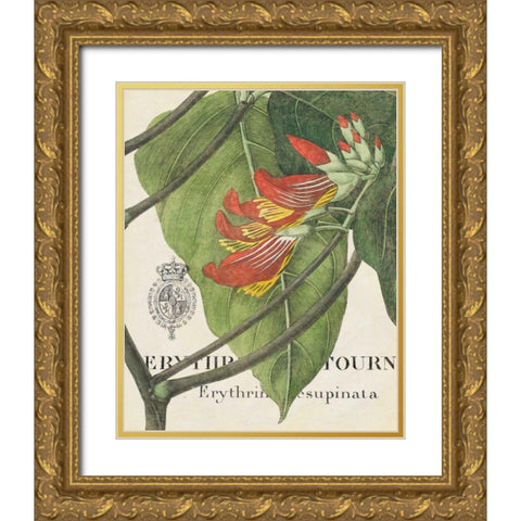 Botanique Tropicale I Gold Ornate Wood Framed Art Print with Double Matting by Wild Apple Portfolio