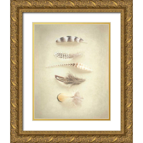 Feathers III Gold Ornate Wood Framed Art Print with Double Matting by Urquhart, Elizabeth