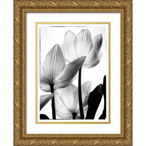 Translucent Tulips III Gold Ornate Wood Framed Art Print with Double Matting by Van Swearingen, Debra