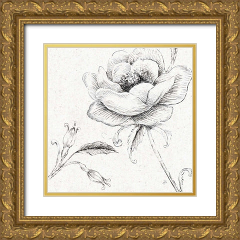 Blossom Sketches II Gold Ornate Wood Framed Art Print with Double Matting by Brissonnet, Daphne