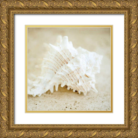 Seashore Shells II Gold Ornate Wood Framed Art Print with Double Matting by Studio, Brookview