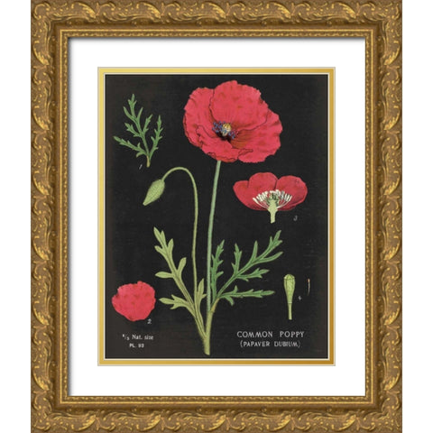 Poppy Chart Gold Ornate Wood Framed Art Print with Double Matting by Schlabach, Sue