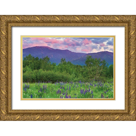 Layer Cake Gold Ornate Wood Framed Art Print with Double Matting by Gendreau, Katherine