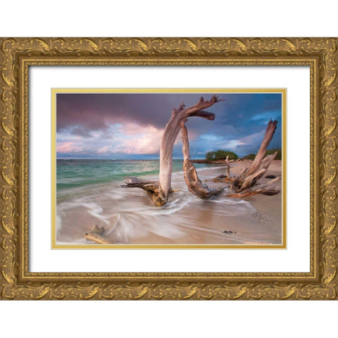Driftwood Sunset Gold Ornate Wood Framed Art Print with Double Matting by Gendreau, Katherine