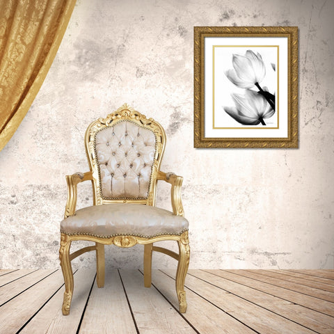 Translucent Tulips II no border Gold Ornate Wood Framed Art Print with Double Matting by Van Swearingen, Debra