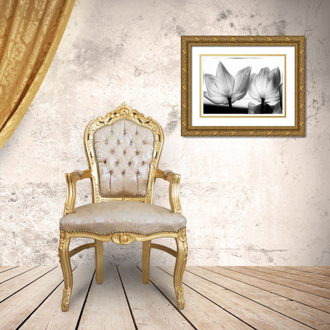 Translucent Tulips V Gold Ornate Wood Framed Art Print with Double Matting by Van Swearingen, Debra