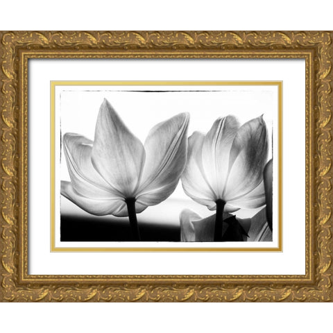 Translucent Tulips V Gold Ornate Wood Framed Art Print with Double Matting by Van Swearingen, Debra