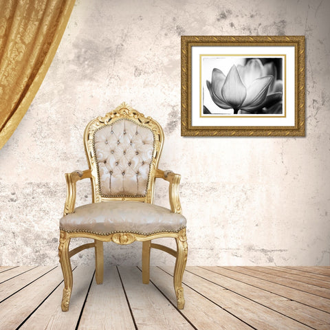 Translucent Tulips VI Gold Ornate Wood Framed Art Print with Double Matting by Van Swearingen, Debra