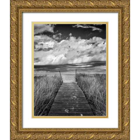 Oak Bluffs Beach Path Crop Gold Ornate Wood Framed Art Print with Double Matting by Gendreau, Katherine