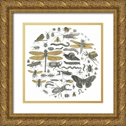 Insect Circle I Gold Ornate Wood Framed Art Print with Double Matting by Wild Apple Portfolio