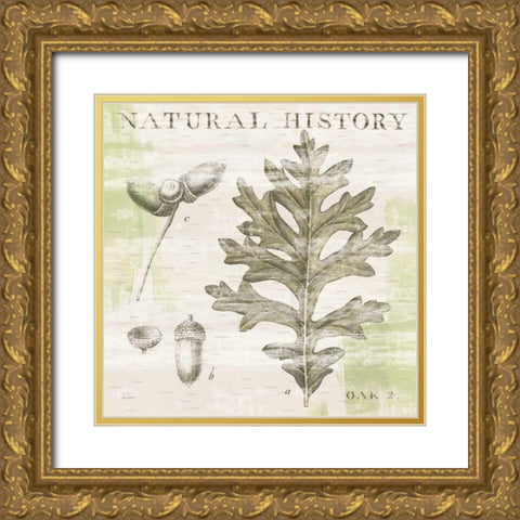 Natural History Oak II Gold Ornate Wood Framed Art Print with Double Matting by Schlabach, Sue