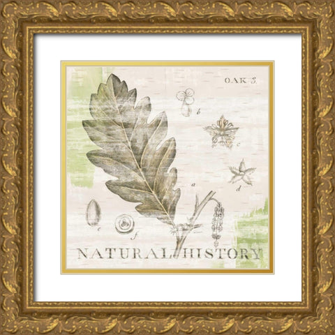 Natural History Oak III Gold Ornate Wood Framed Art Print with Double Matting by Schlabach, Sue