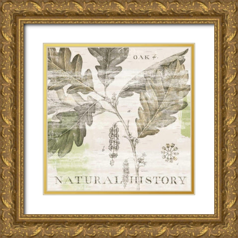 Natural History Oak IV Gold Ornate Wood Framed Art Print with Double Matting by Schlabach, Sue
