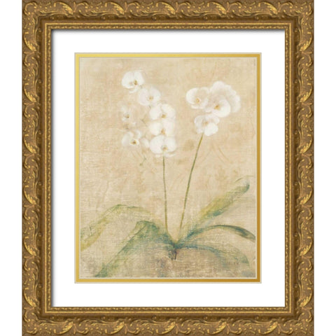Orchid Cool Gold Ornate Wood Framed Art Print with Double Matting by Blum, Cheri