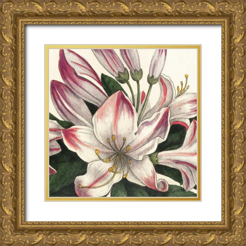 Botanique Square II Gold Ornate Wood Framed Art Print with Double Matting by Wild Apple Portfolio