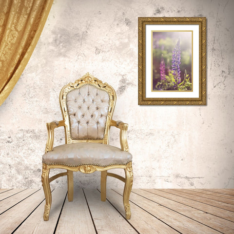 Lupine Flare Gold Ornate Wood Framed Art Print with Double Matting by Gendreau, Katherine