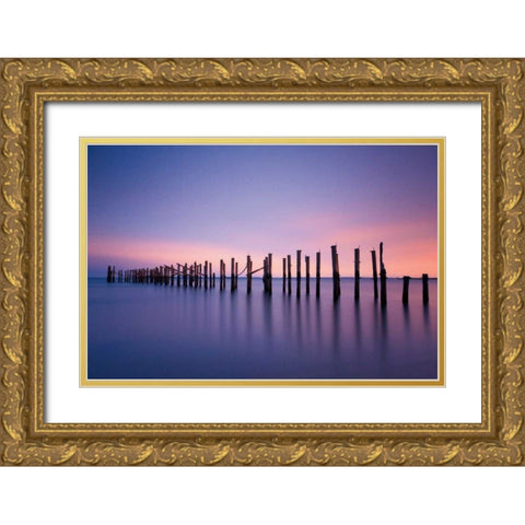 Still Color Gold Ornate Wood Framed Art Print with Double Matting by Gendreau, Katherine