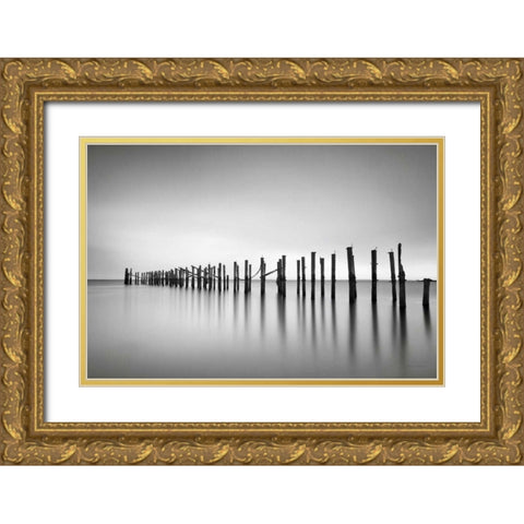 Still BW Gold Ornate Wood Framed Art Print with Double Matting by Gendreau, Katherine