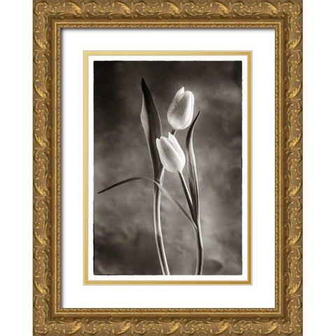 TwoTone Tulips VI Gold Ornate Wood Framed Art Print with Double Matting by Van Swearingen, Debra