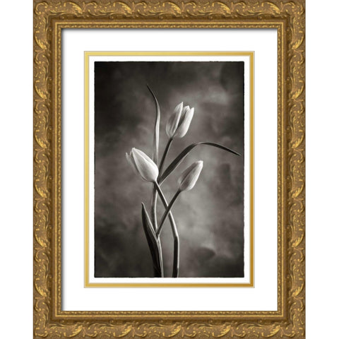 TwoTone Tulips VII Gold Ornate Wood Framed Art Print with Double Matting by Van Swearingen, Debra