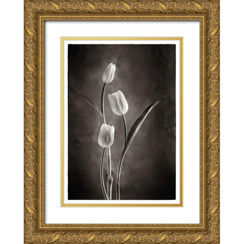 TwoTone Tulips VIII Gold Ornate Wood Framed Art Print with Double Matting by Van Swearingen, Debra