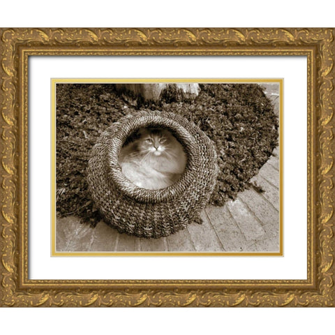 Cat in a Basket Gold Ornate Wood Framed Art Print with Double Matting by Dratfield, Jim