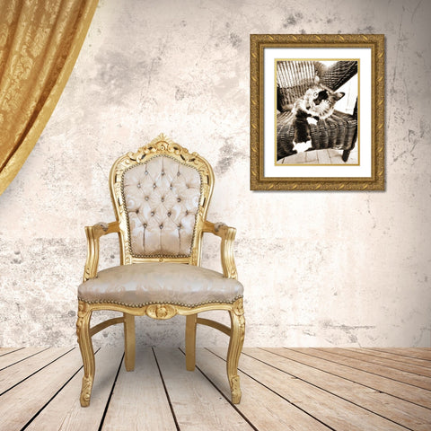 Kitty IV Gold Ornate Wood Framed Art Print with Double Matting by Dratfield, Jim