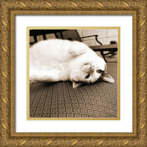 Kitty II Crop Gold Ornate Wood Framed Art Print with Double Matting by Dratfield, Jim