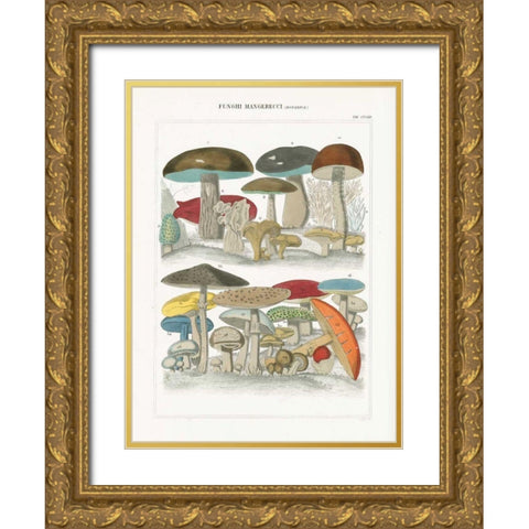 Funghi Italiani I Gold Ornate Wood Framed Art Print with Double Matting by Wild Apple Portfolio
