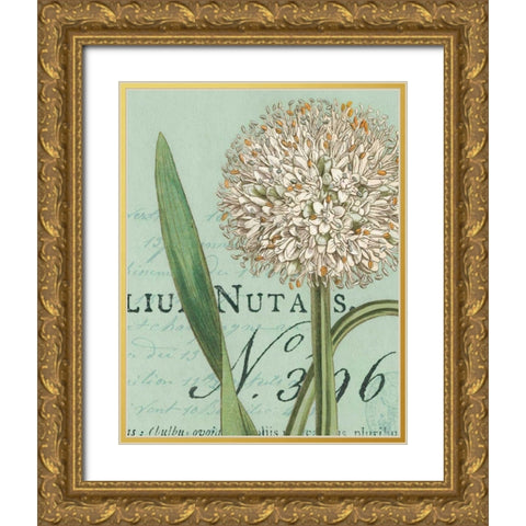 Botanique Bleu II Gold Ornate Wood Framed Art Print with Double Matting by Wild Apple Portfolio