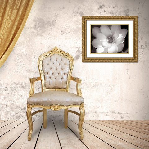 Lotus Flower V Gold Ornate Wood Framed Art Print with Double Matting by Van Swearingen, Debra