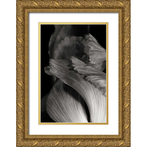 Iris Abstract I Gold Ornate Wood Framed Art Print with Double Matting by Marshall, Laura