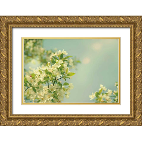 Spring Beauty I Gold Ornate Wood Framed Art Print with Double Matting by Schlabach, Sue