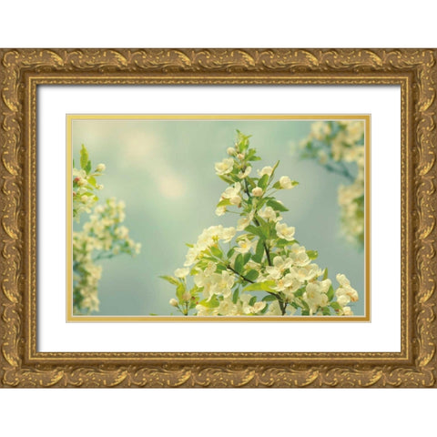 Spring Beauty II Gold Ornate Wood Framed Art Print with Double Matting by Schlabach, Sue