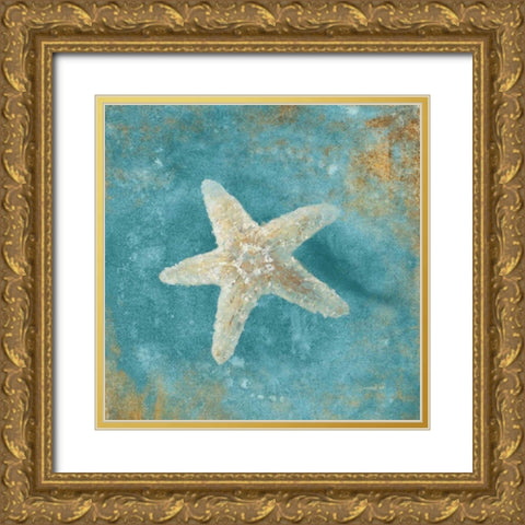 Treasures from the Sea IV Aqua  Gold Ornate Wood Framed Art Print with Double Matting by Nai, Danhui