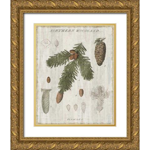 Woodland Chart V Gold Ornate Wood Framed Art Print with Double Matting by Schlabach, Sue