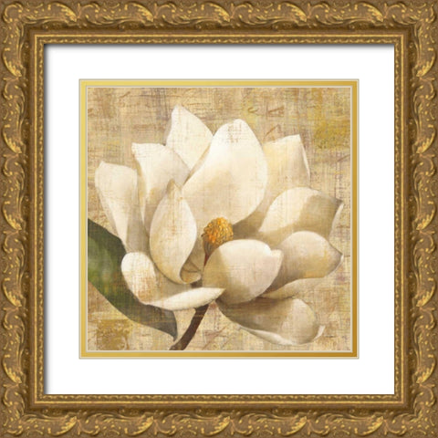 Magnolia Blossom on Script Gold Ornate Wood Framed Art Print with Double Matting by Hristova, Albena