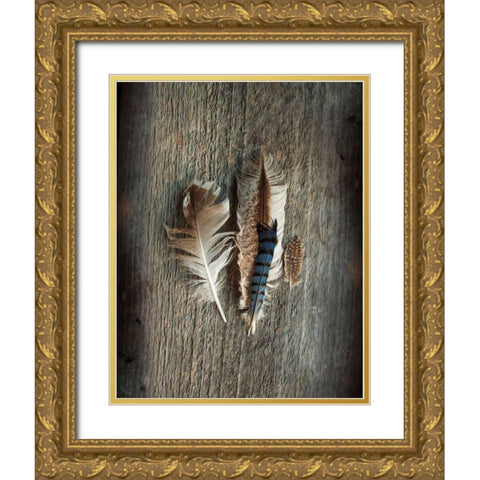 Feather Collection III Gold Ornate Wood Framed Art Print with Double Matting by Schlabach, Sue