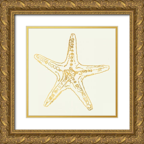 Coastal Breeze Shell Sketches Gold Ornate Wood Framed Art Print with Double Matting by Tavoletti, Anne