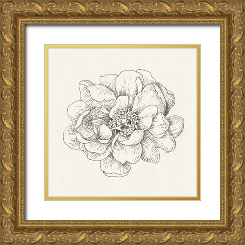 Pen and Ink Florals IV Gold Ornate Wood Framed Art Print with Double Matting by Nai, Danhui