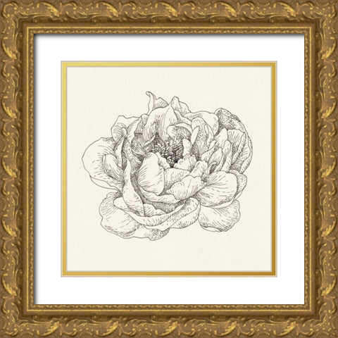 Pen and Ink Florals V Gold Ornate Wood Framed Art Print with Double Matting by Nai, Danhui