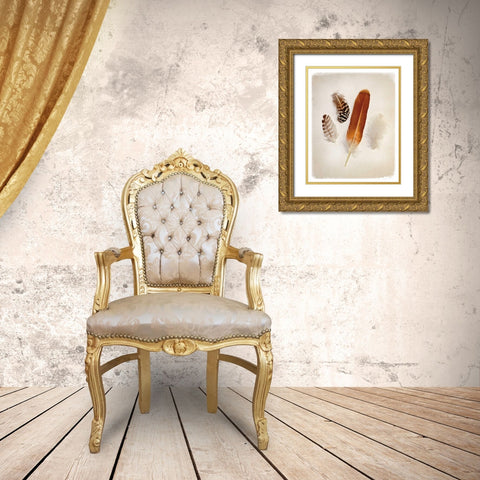Feather Group I Gold Ornate Wood Framed Art Print with Double Matting by Van Swearingen, Debra