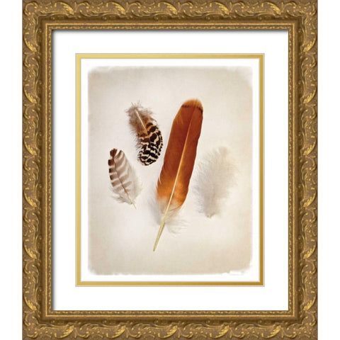 Feather Group I Gold Ornate Wood Framed Art Print with Double Matting by Van Swearingen, Debra